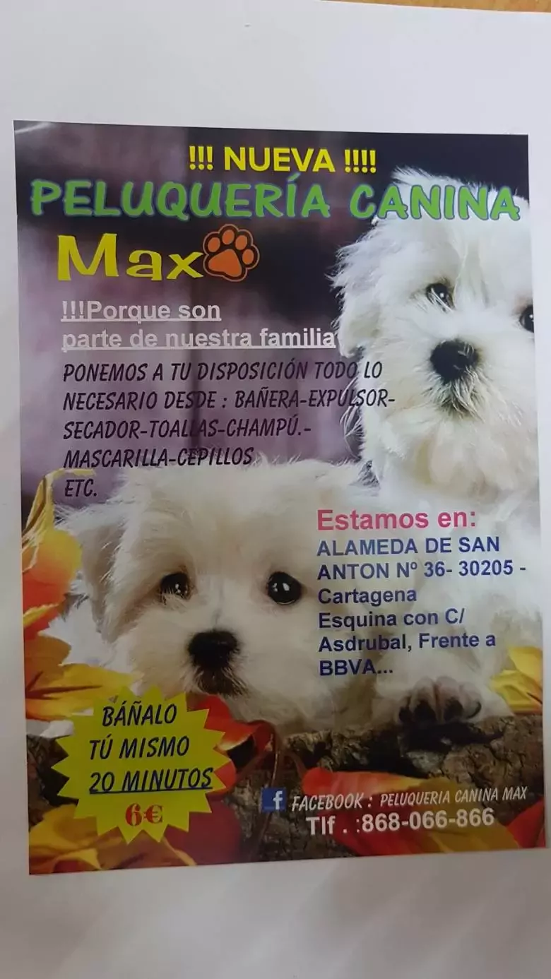 PELUQUERIA CANINA MAX