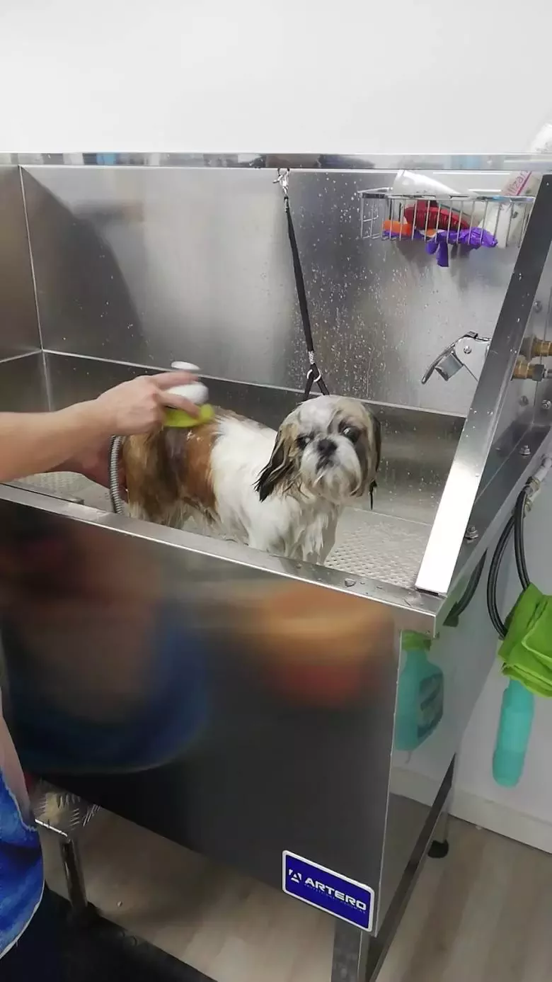 Enredados Peluquería Canina