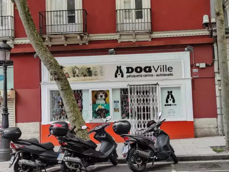 DOGVILLE Peluquería canina y Autolavado