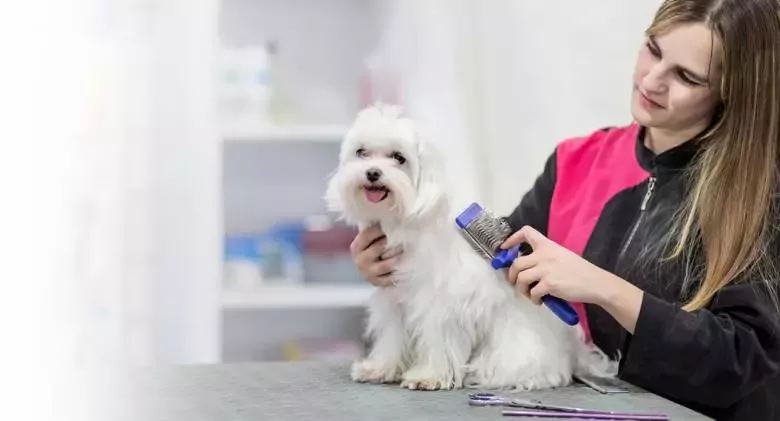 Peluquería Canina y Tienda Clínica Bahía