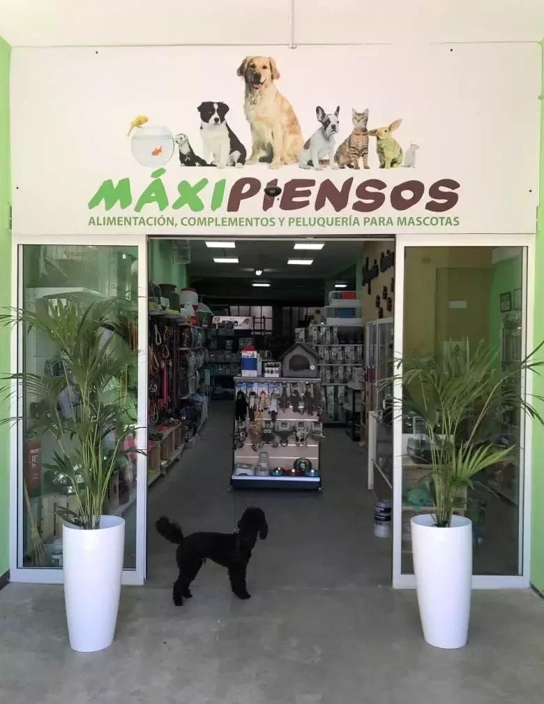 Maxipiensos