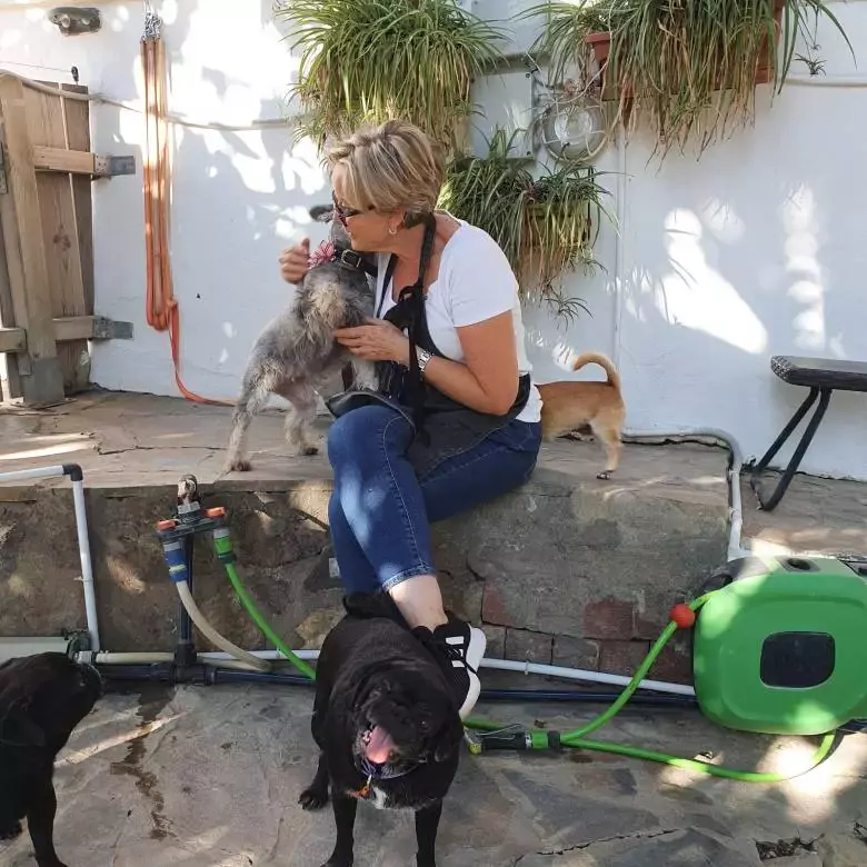 Tiny Dog Hotel Marbella