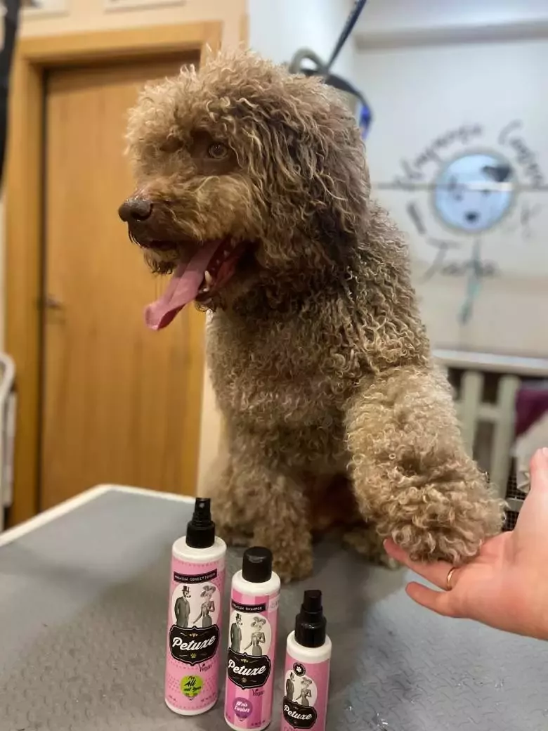 Peluqueria Canina Jara