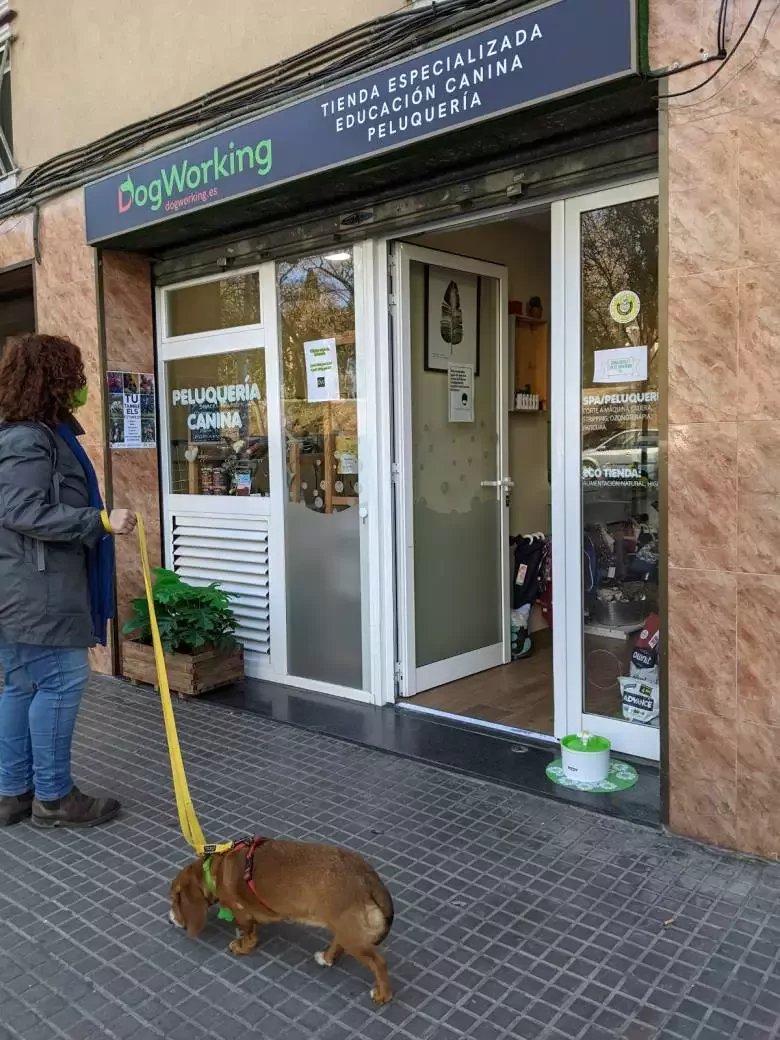 DogWorking Store