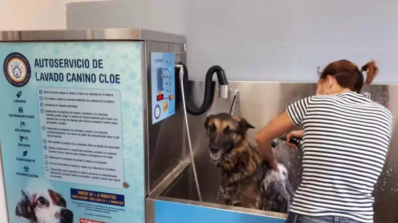 Autoservicio Y Peluquería Canina Cloe