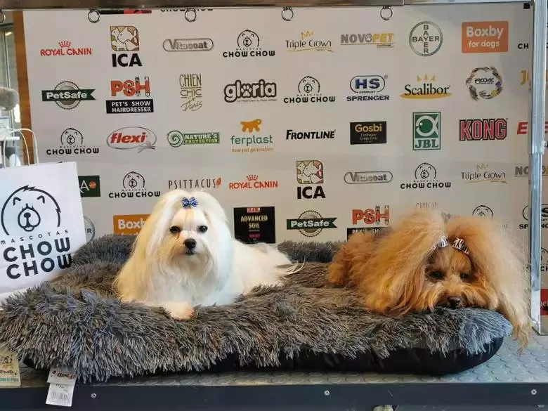 Mascotas Chow Chow Peluquería Canina y Tienda de Mascotas