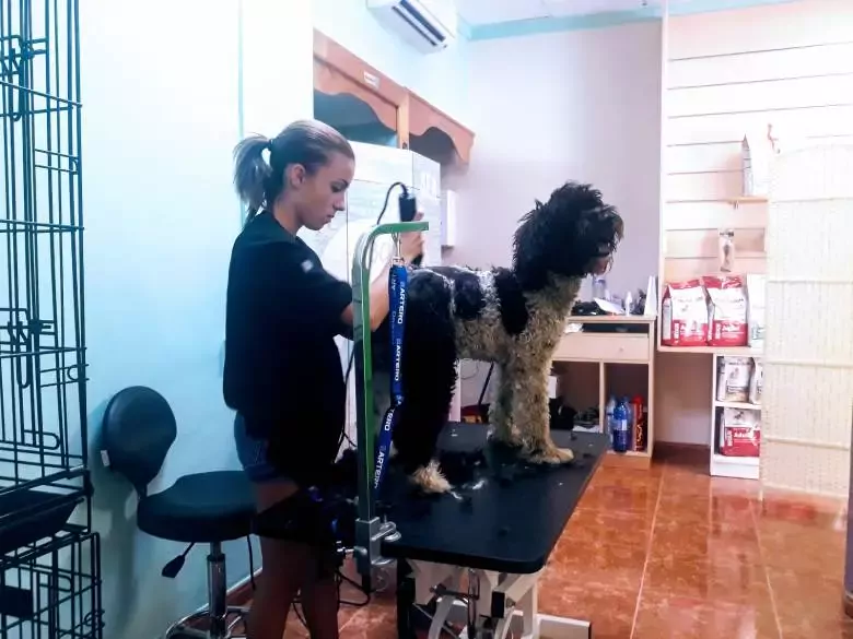 Peluqueria Canina Gemma Ruiz