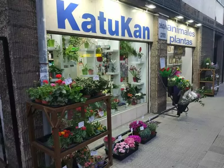 Katukan Areeta