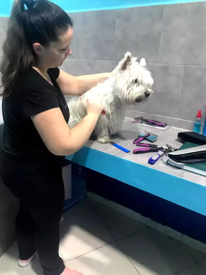 Peluquería Canina Lucía en Bichos Ciudad Real