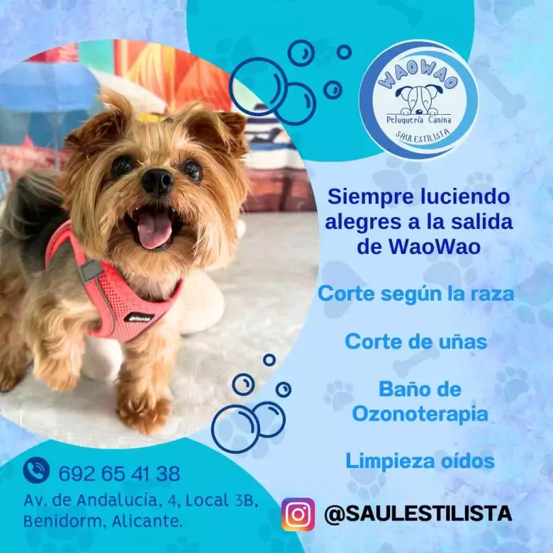 Waowao Peluquería Canina Benidorm