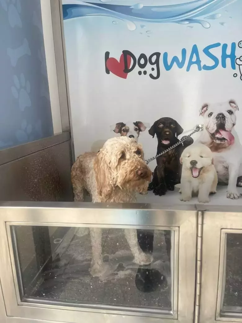 I Love Dog Wash Castelldefels