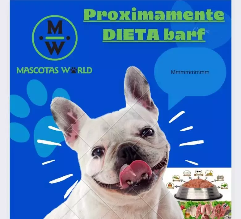 Mascotas World Peluquería Canina