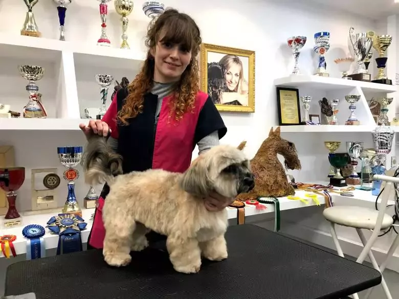 Cursos de Peluquería Canina en Barcelona Style Dogs