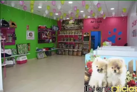 Colitas Peludas Peluqueria canina y felina