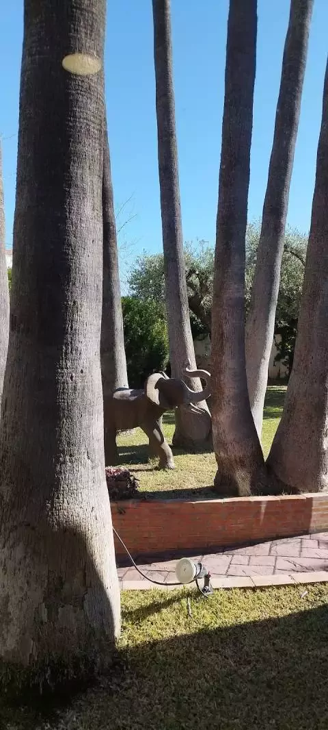 Peluqueria Canina Papa Luna