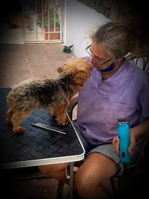 Peluquería canina a domicilio