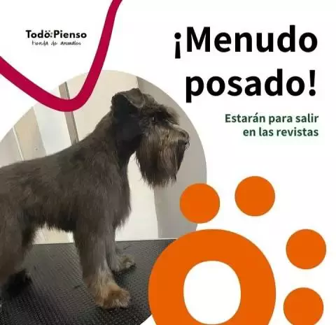 Todo Pienso Alcalá Tienda de Animales