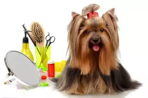 KARAMIEL Peluquería Canina