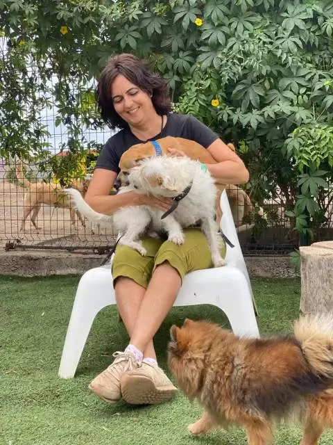 Peluquería y Guardería Canina Talento